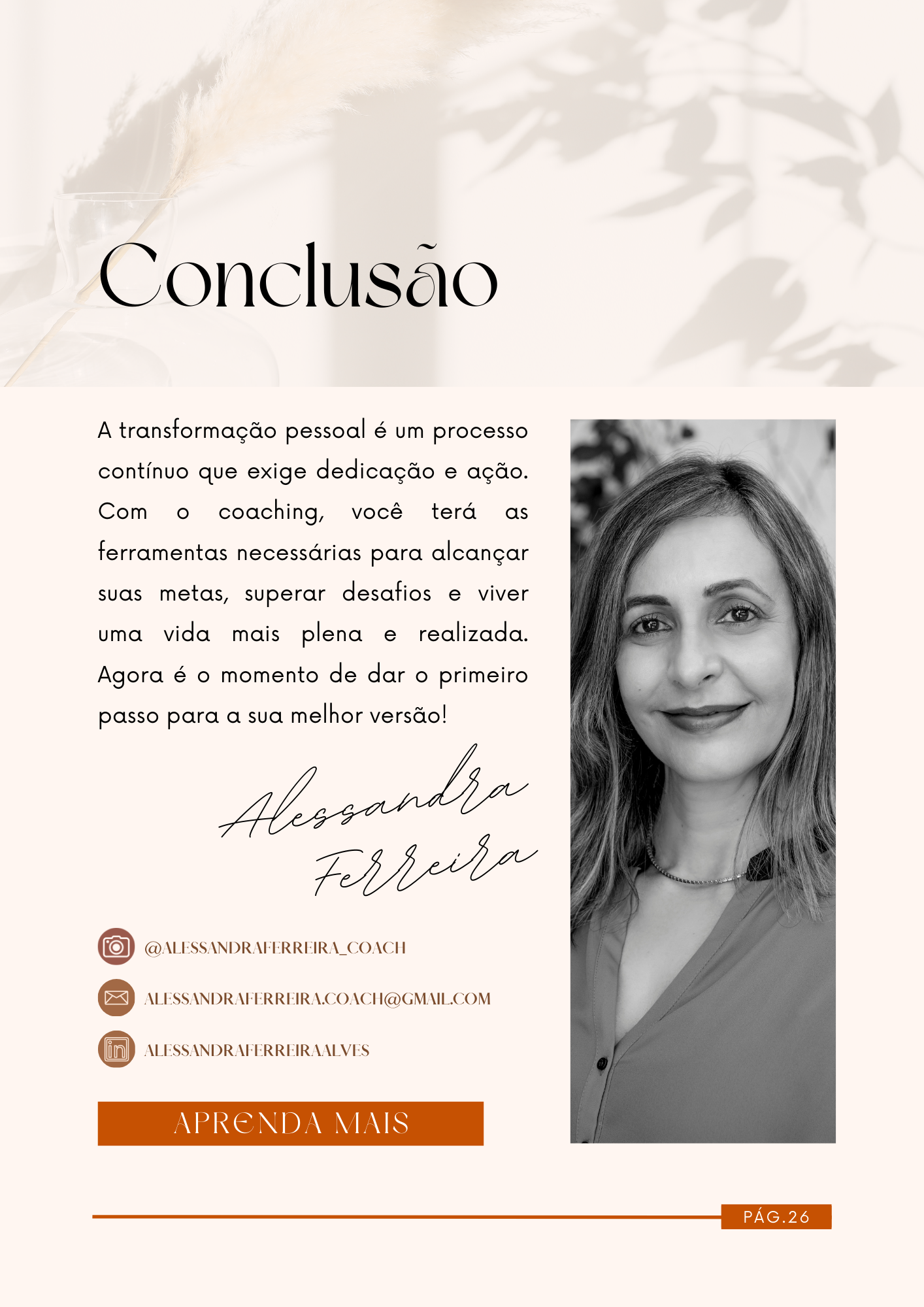 conclusao