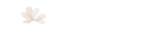 AF Evolução & Carreira